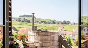 Chateau de Sacy - Image 4