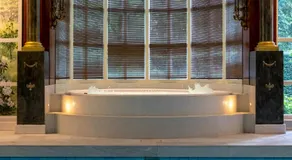 Amsterdamgarden - stunning garden villa with pool close to Amsterdam - Image 3