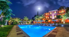 The Palm Garden - Image 3