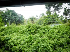 Water front 2bhk varappuzha - Image 5