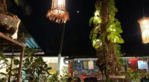 Bonsaiyog - Image 4