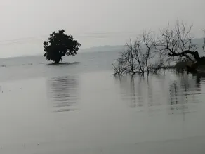 NARMADA VIEW FARMS - Image 5