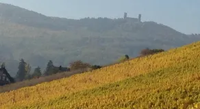 Chambres d'hôtes et Gîte chez Martine - Image 5