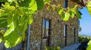 Agriturismo Chiusulelle - Image 4