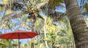 Mbeach Nest - Image 5