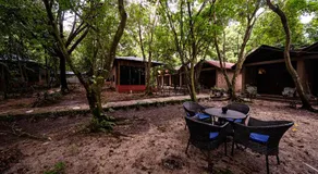 The DIVEResort and Dancing Dugong Cafe - Image 4