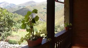 LA NOZAL piscina, barbacoa, jardín - Image 4