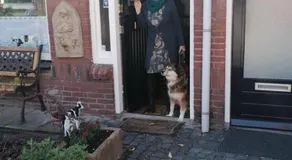 B&B Bij de koeien - Image 5