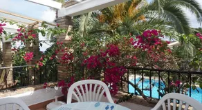 Floridasol - Image 3