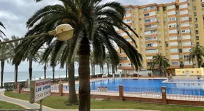 Las Palmeras - Image 2