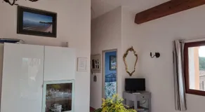 coustelline - Image 2