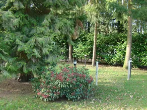 Holiday home with sauna, in the outskirts of the Brabant Haaren - Image 3