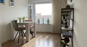B&B Binisa - Image 2