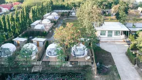 A LA Camps - Image 3