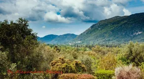 Bourikos House Corfu - Image 4