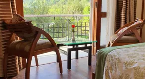 Villa 5, Manali - Image 2