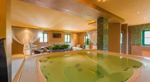 Boutique Hotel Pri Mlyne Lozorno - Image 3