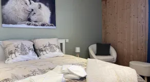 Spacious flat facing Mont Blanc - Image 1