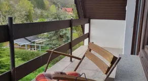 FERIENHAUS ZUM HOLZMICHEL - Image 3