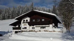 Haus Ratgeb - Image 4