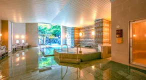 Yuzawa Toei Hotel - Image 3