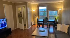 Apartment in Sandvika Bærum - Great view and Attractive - Image 2