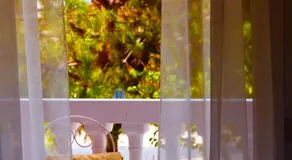 Venice Lion Residence Free Private Parking Easy Access Venice - Image 5
