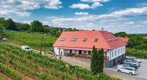 Somló Kolonics Kúria - Image 3