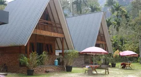 Orau Asthana - Image 3