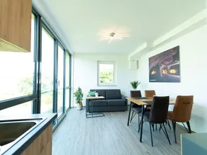 Modern Apartment in Mettlach with Infrared Sauna - Image 4