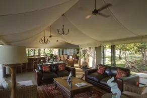 The Elephant Camp - Image 5
