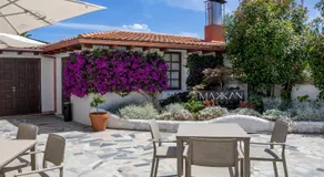 Makkan Club - Image 4