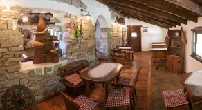 Farm Stay Čardaklije - Image 4