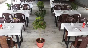 Mrignayani - Image 3