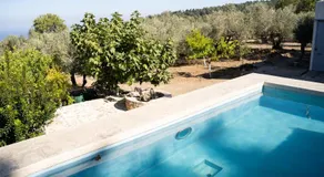 Chaihoutes stone House and Villa into Olive farm in Zia - Image 5