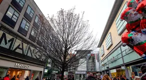 Royal Oak Home - Image 2