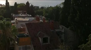 Sunny - Image 4