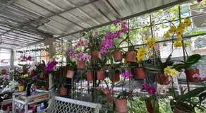 Garden Hostel - Image 4