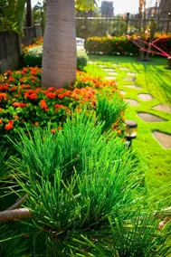 Jia Feng Homestay - Image 5