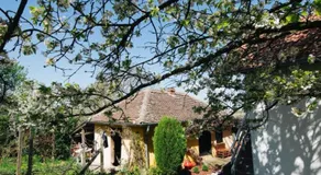 Vikendica Ilic - Petrovac na Mlavi - Image 4
