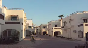 Elixir - Image 4