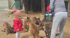 Fauna Australia Wildlife Experience - Image 5