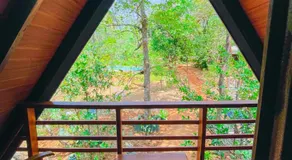 Lotus Eco Villa - Image 5