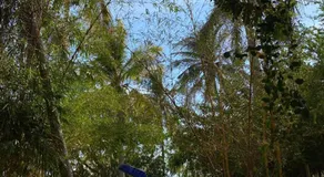 Shalom Backpacker Hostel - Image 3