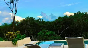 Apartamento LX con Vista a la Jungla - Image 5