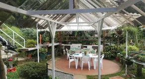 Bosque de Niebla Birding & Nature - Image 3