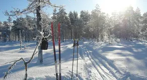 Panoramaboende - Image 4