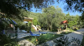 Rozalia Studios  - Image 3