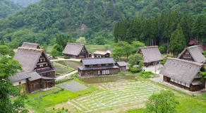 Villa Zoo - Image 5