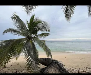 Royal Neil Resort - Image 5
